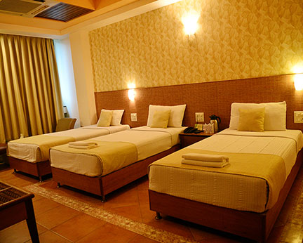 Goa Woodlands Hotel-Room-2