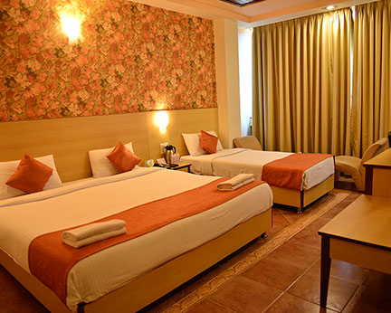 Goa Woodlands Hotel-Room-1